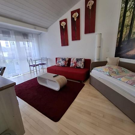 Exclusive Apartments Bietigheim-Bissingen Kültér fotó